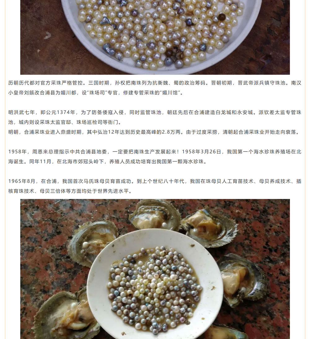 古老南珠，綻放異彩
