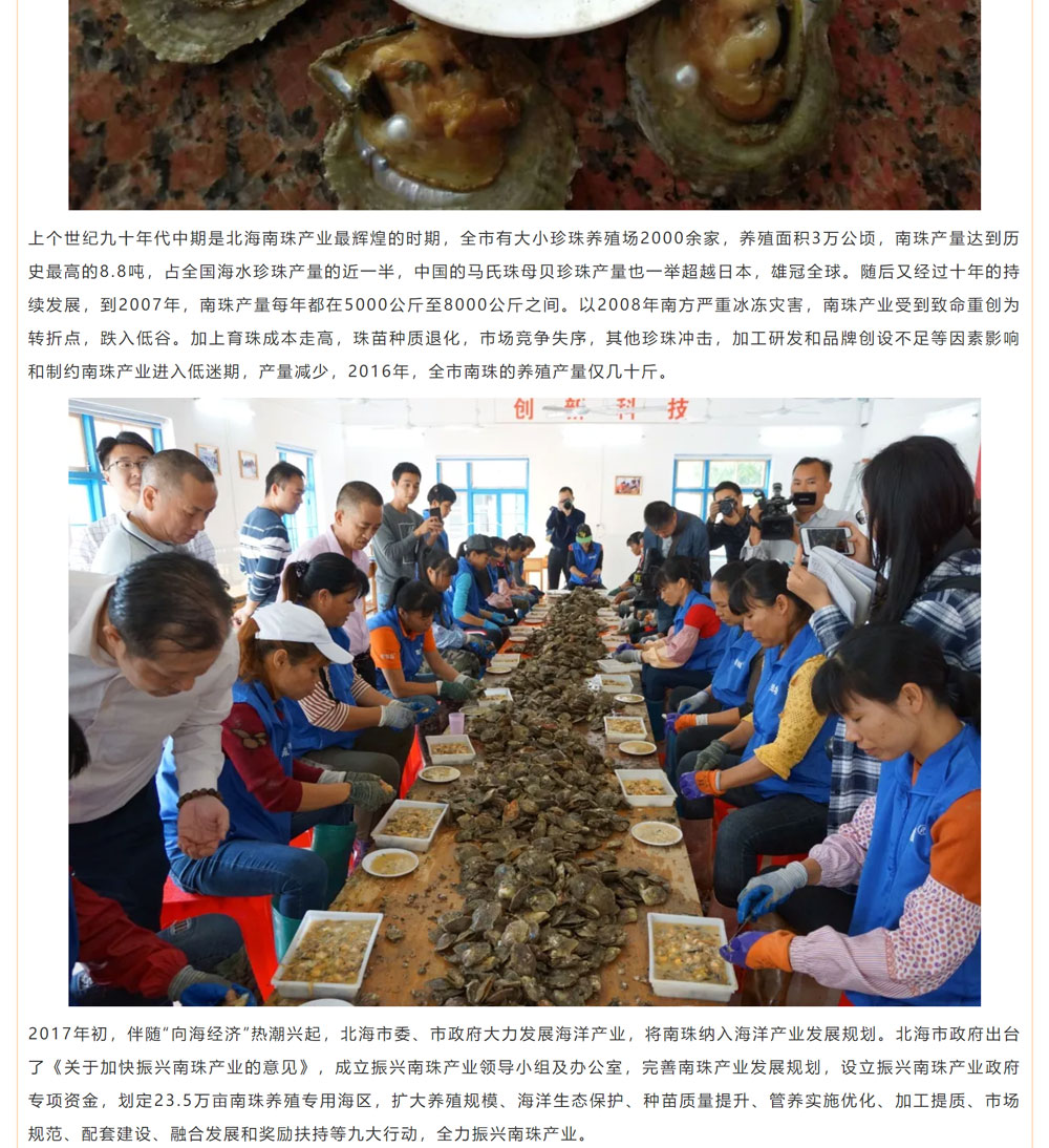 古老南珠，綻放異彩
