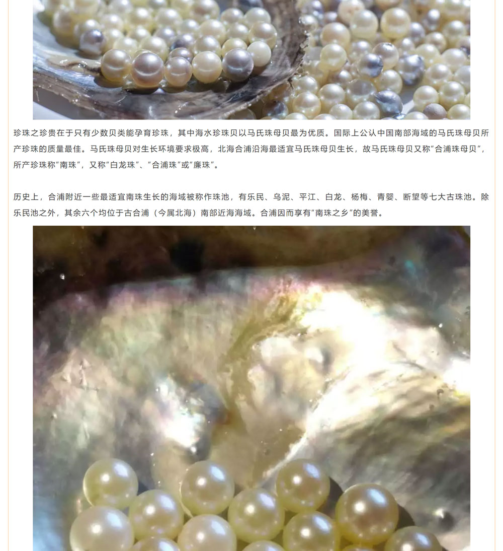 古老南珠，綻放異彩