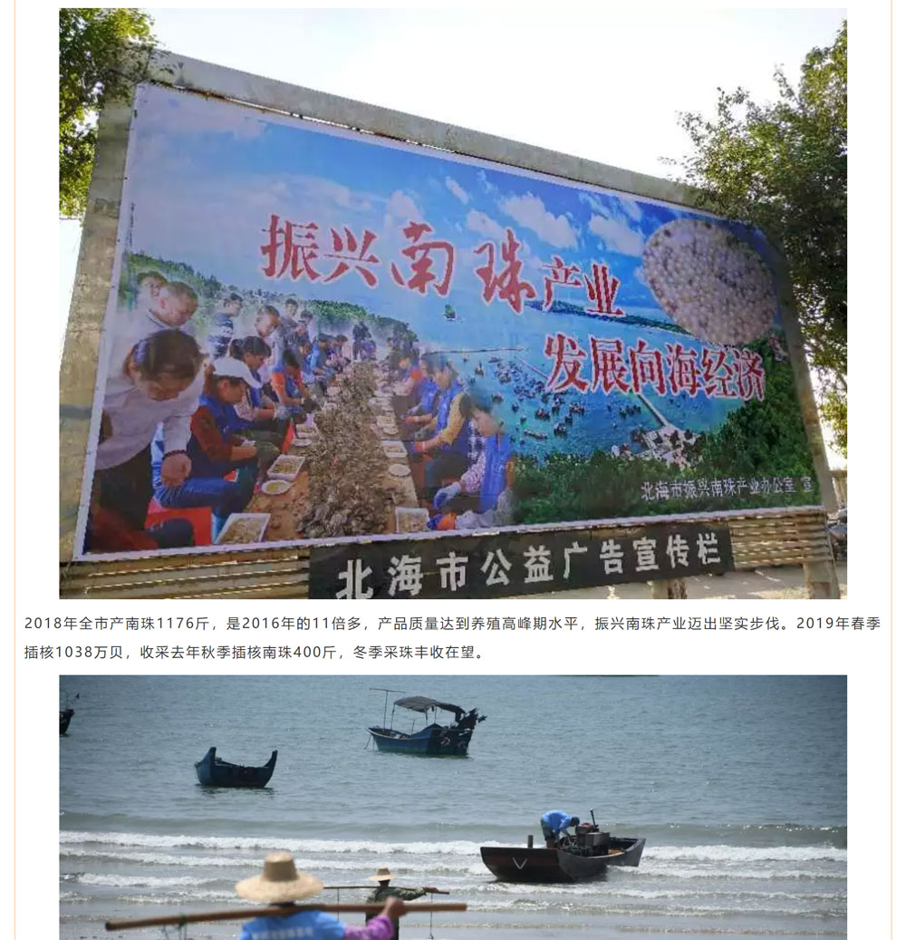 古老南珠，綻放異彩